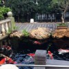 上海花园鱼池过滤|找花园鱼池水过滤就来常州鸿瀚环保工程