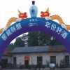 上海气球拱门-供应佛山特色的气球拱门