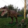恐龙主题模型，恐龙爱好者展览，全品种恐龙出售，租赁