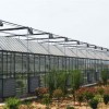 连栋温室玻璃大棚造价 设计 制造--万红温室