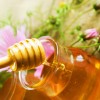 划算的自然成熟蜂蜜哪里有卖，原生态蜂蜜价格