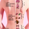 高端美容养生项目，广州伊璐公司五行混元疗法