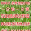 泰安专业的金秋葵供应商推荐，秋葵的价格
