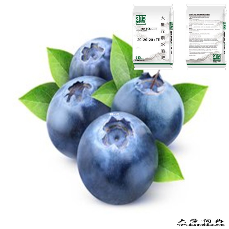 蓝莓专用冲施肥20-20-20+TE