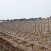 蔬菜大棚建设-品牌好的温室工程在潍坊
