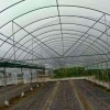 青州温室工程-结实耐用的温室大棚推荐