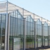 文洛式连栋温室骨架供应-放心可靠的玻璃温室哪里有
