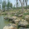 北京驳岸石|买高性价驳岸石优选天成园林