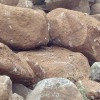 供应鹅卵石|供应安徽物超所值的鹅卵石