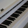 费县卖钢琴租赁-临沂可靠的临沂钢琴供应商