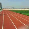 选购热门的全塑型塑胶跑道，就来广州博华体育_复合型塑胶跑道