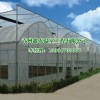 生态采摘园设计-山东创新型的日光温室
