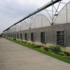 广西钢结构农业大棚-广西好用的温室大棚