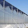 安徽阳光板温室承建-阳光板温室认准鑫隆温室工程