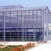 【浓情不可负】山东玻璃日光温室建造商，玻璃日光温室承建