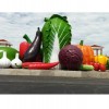 批发优质蔬菜雕塑-农圣蔬菜文化专业供应山东蔬菜雕塑