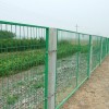 甘肃护栏网厂-供应兰州优惠的公路护栏网