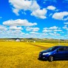 口碑好的生态旅游哪里有|内蒙古草原生态旅游电话