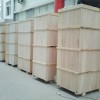 松木桩-声誉好的木包装箱供应商当属森旺