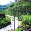 深圳专业的园林绿化养护-广东信誉好的园林绿化养护推荐