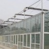 纹络式玻璃温室建造商@【鑫艺农】纹络式玻璃温室建设
