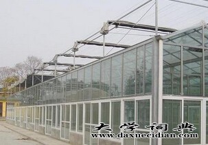 纹络式玻璃温室建造商@【鑫艺农】纹络式玻璃温室建设