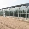 日光温室大棚维修-山东放心的玻璃板温室建造公司