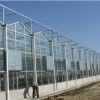 阳光玻璃温室价格-山东实用的玻璃温室