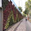 郑州报价合理的绿植墙