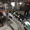 安徽洗蛋机_潍坊好用的洗蛋机批售
