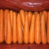 胡萝卜加工流水线_大洲蔬菜供应报价合理的胡萝卜