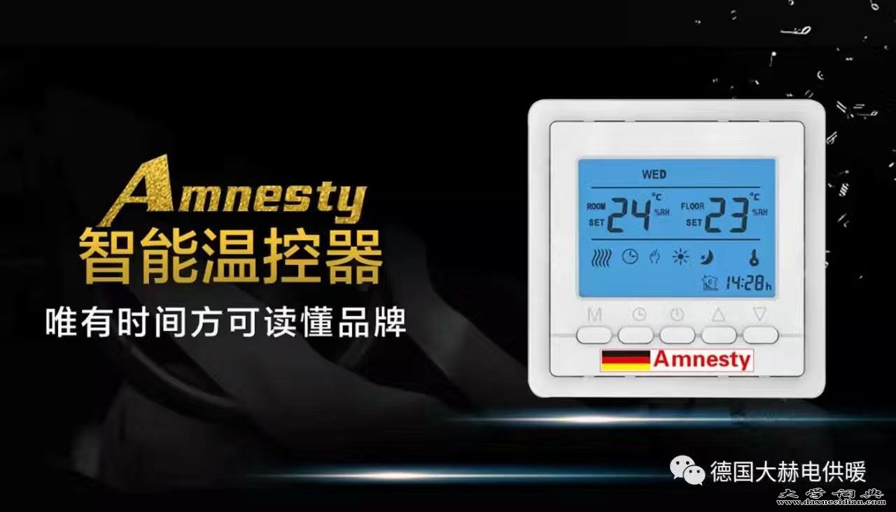 Amnesty大赫 温控器
