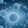 山东免疫细胞治疗-免疫细胞治疗项目哪家专业