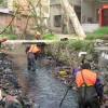 宝鸡市岐山池塘清淤公司-陕西知名的渭南淤泥清理公司