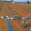 玉林微喷带|南宁好的节水喷灌系统提供商
