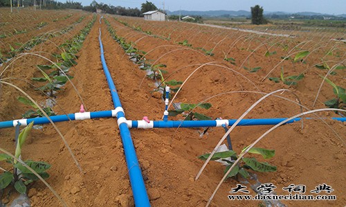节水喷灌系统