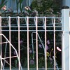 福州园林围栏-福建可信赖的园林围栏生产基地