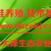 专业的青蛙养殖、稻蛙混养技术培训公司【江苏大泽科技】
