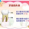 专业儿童口腔医院-有保障的儿童口腔专科推荐