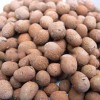 望牛墩陶粒厂家-知名的陶粒供应商_莞穗陶粒