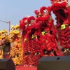 珠海舞狮表演-哪里有信誉好的广东醒狮表演龙狮表演