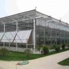 江西生态餐厅-瑞泰温室工程专业承建生态餐厅