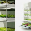 家庭蔬菜种植槽-供应山东实惠的家庭立体栽培槽