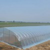 滴灌温室大棚建造-博晟达农业_单拱蔬菜大棚设计建造
