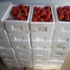 抚顺草莓采摘园怎么样-在哪能买到口碑好的采摘园基地