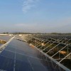 四川太阳能温室大棚-太阳能发电温室大棚建造费用