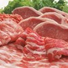 专业的肉类配送-武汉和源餐饮供应具有口碑的肉类配送