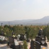 营口公益性墓园-上哪找专业的公益性墓园购买
