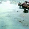生活污水处理厂家-权威的生活污水处理丹东鸿海环保设备