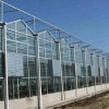 纹络式玻璃温室承建_优良玻璃温室大棚选鑫艺农温室工程